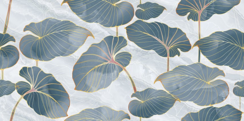 PD Prestige Aqua Decor
